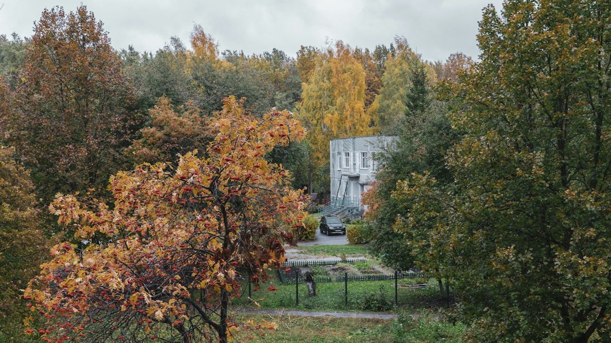 a house in the middle of a wooded area